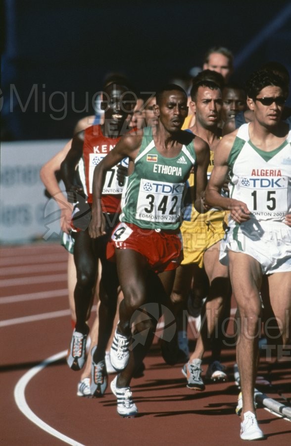 VIII Campeonato del Mundo de Atletismo en Edmonton (Canadá) 2001.