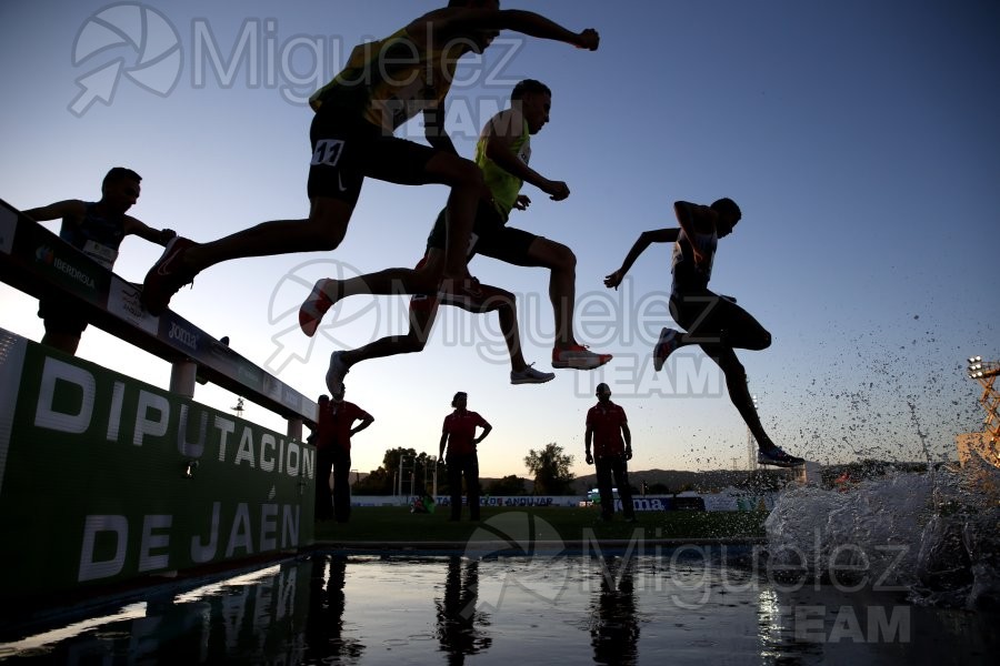 Meeting Internacional de Atletismo Jaen Paraiso Inteior (Andujar) 2022.