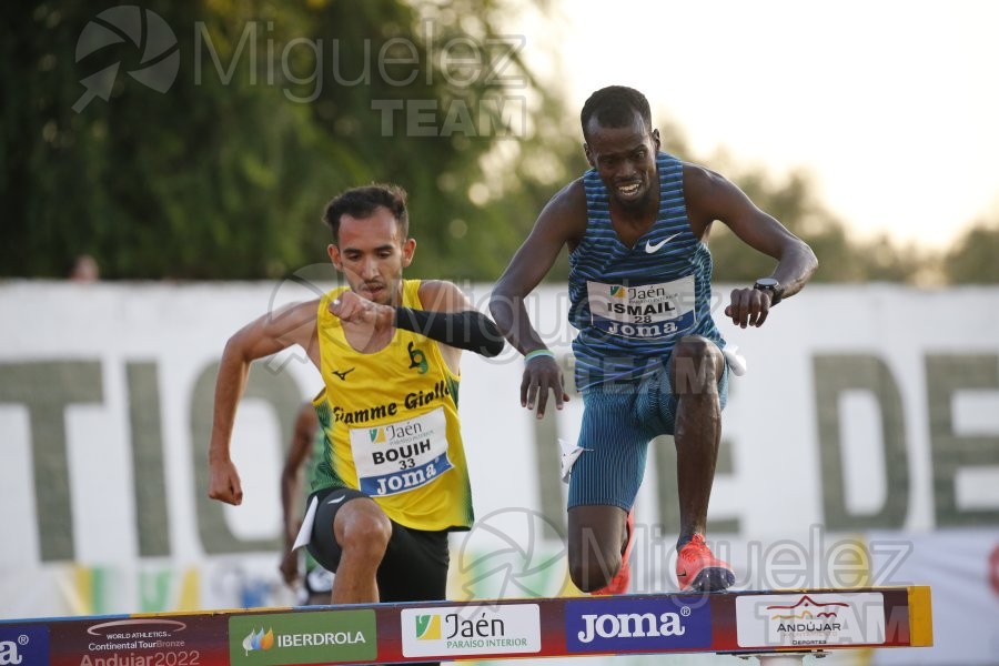 Meeting Internacional de Atletismo Jaen Paraiso Inteior (Andujar) 2022.