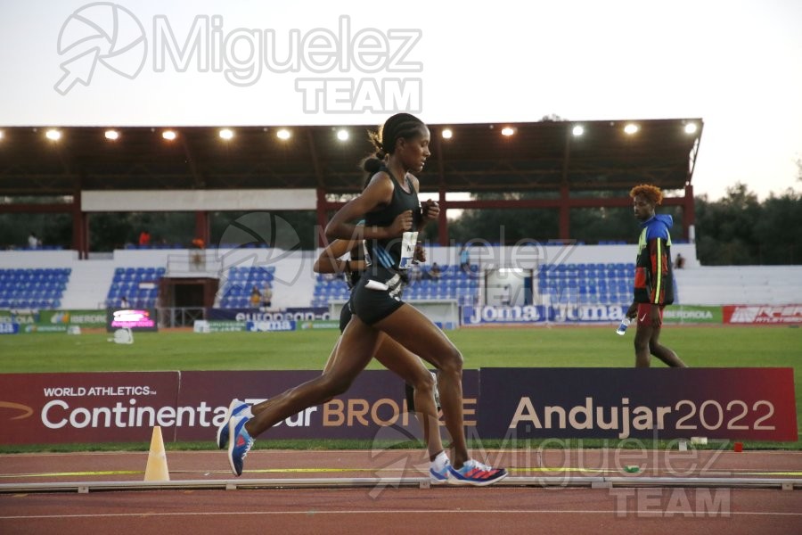 Meeting Internacional de Atletismo Jaen Paraiso Inteior (Andujar) 2022.