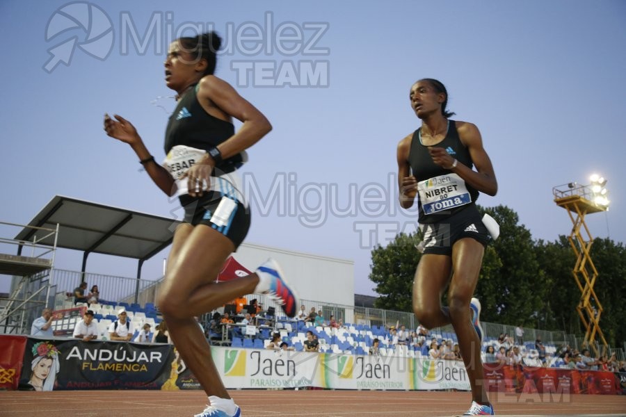 Meeting Internacional de Atletismo Jaen Paraiso Inteior (Andujar) 2022.