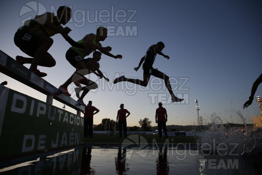 Meeting Internacional de Atletismo Jaen Paraiso Inteior (Andujar) 2022.