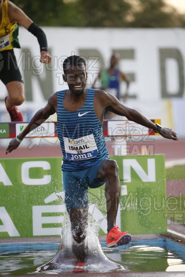 Meeting Internacional de Atletismo Jaen Paraiso Inteior (Andujar) 2022.