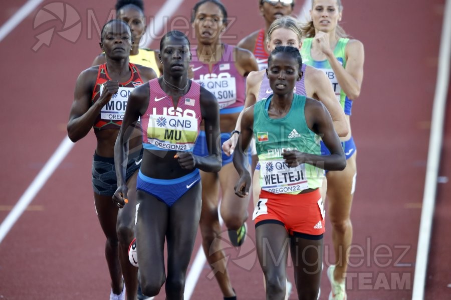 Campeonato del Mundo Absoluto al Aire Libre en Eugene (Oregon USA) 2022. 