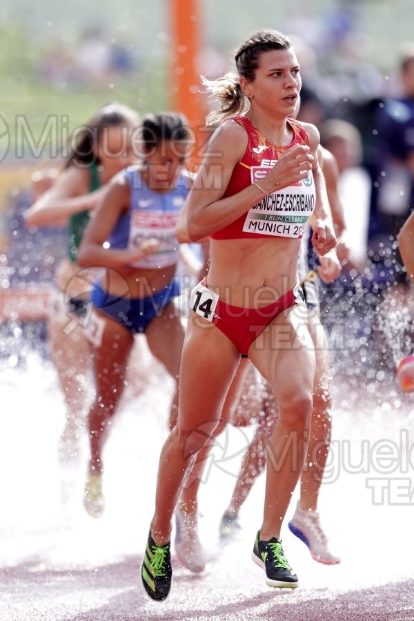 Campeonato de Europa de Atletismo al Aire Libre (Munich) 21-08-2022. 