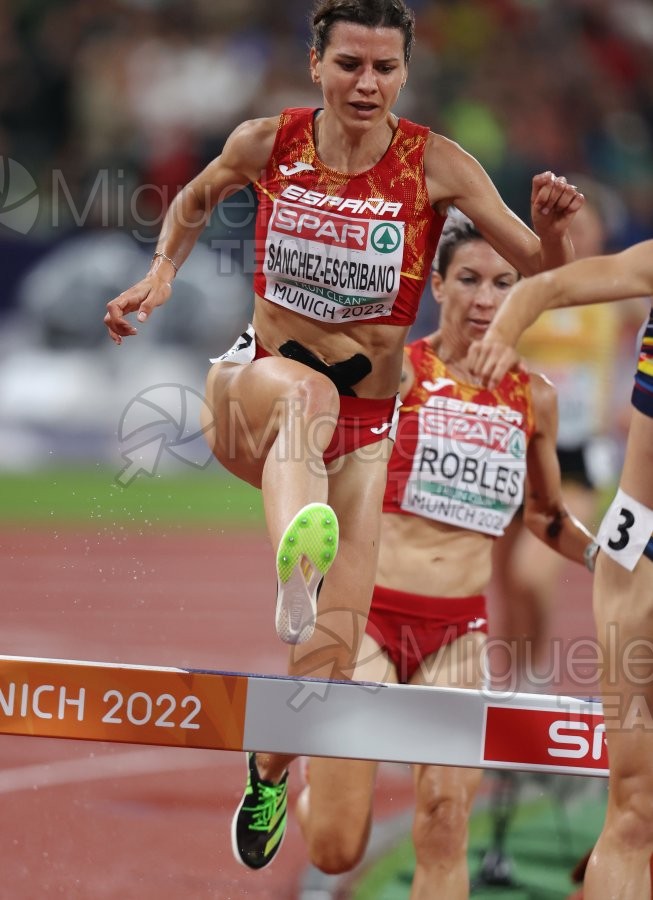 Campeonato de Europa de Atletismo al Aire Libre (Munich) 21-08-2022. 