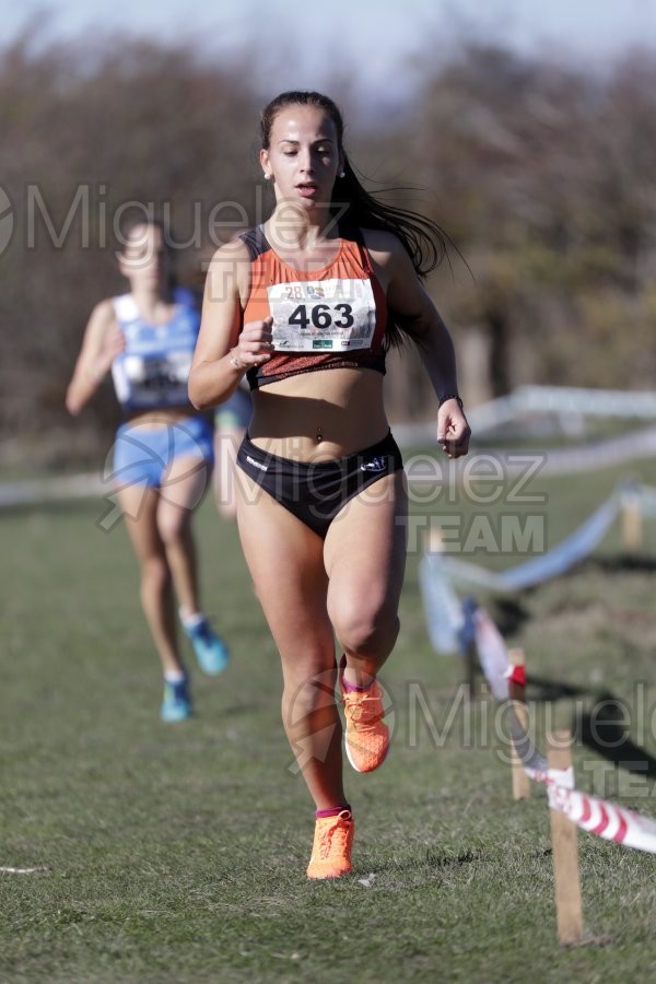 Cross Internacional de Soria (Valonsadero) 06-11-2022
