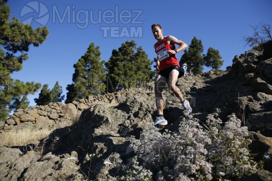 Campeonato de Europa de Trail - Mountain Running (carreras de montaña) / European Athletics Off-Road Running Championships (El Paso) La Palma (Islas Canarias) 2022.