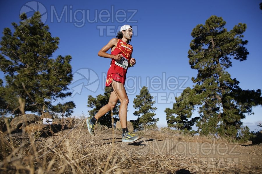 Campeonato de Europa de Trail - Mountain Running (carreras de montaña) / European Athletics Off-Road Running Championships (El Paso) La Palma (Islas Canarias) 2022.