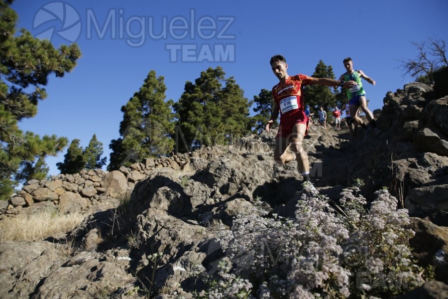 Campeonato de Europa de Trail - Mountain Running (carreras de montaña) / European Athletics Off-Road Running Championships (El Paso) La Palma (Islas Canarias) 2022.