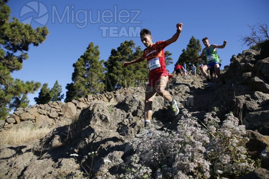 Campeonato de Europa de Trail - Mountain Running (carreras de montaña) / European Athletics Off-Road Running Championships (El Paso) La Palma (Islas Canarias) 2022.