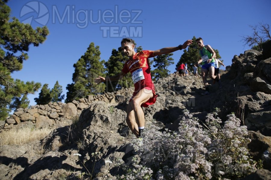 Campeonato de Europa de Trail - Mountain Running (carreras de montaña) / European Athletics Off-Road Running Championships (El Paso) La Palma (Islas Canarias) 2022.