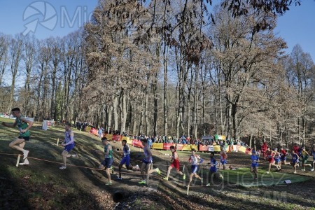 Campeonato de Europa de Campo a través, Piemonte-Parque La Mandria (Turin) 2022. 