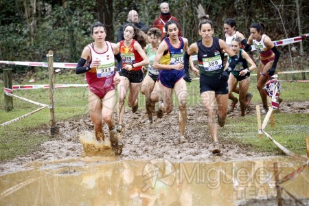 CV Campeonato de España de Campo a Traves Individual y Federaciones (Ortuella) 2023.