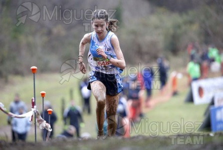 CV Campeonato de España de Campo a Traves Individual y Federaciones (Ortuella) 2023.