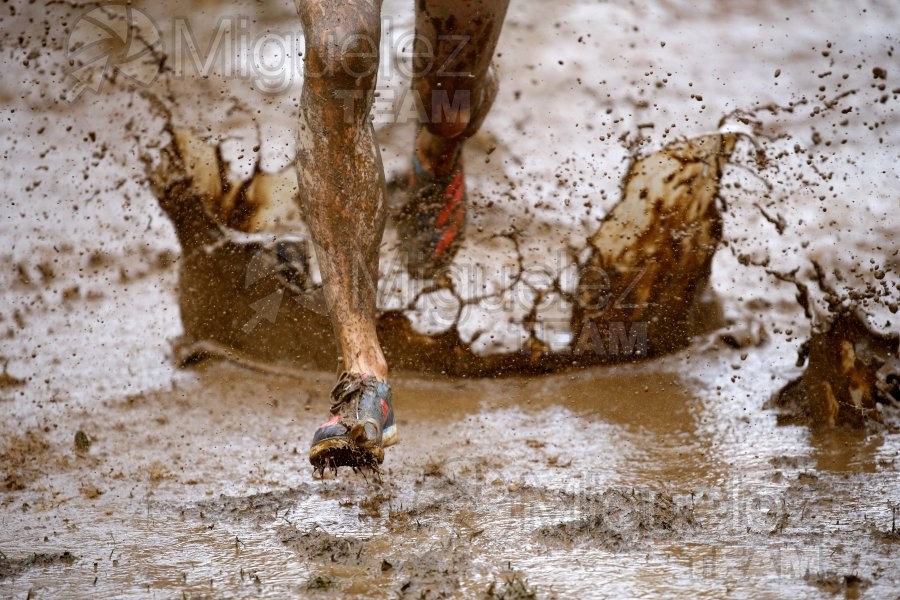 CV Campeonato de España de Campo a Traves Individual y Federaciones (Ortuella) 2023.