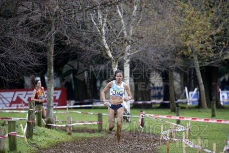 CV Campeonato de España de Campo a Traves Individual y Federaciones (Ortuella) 2023.