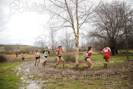 CV Campeonato de España de Campo a Traves Individual y Federaciones (Ortuella) 2023.