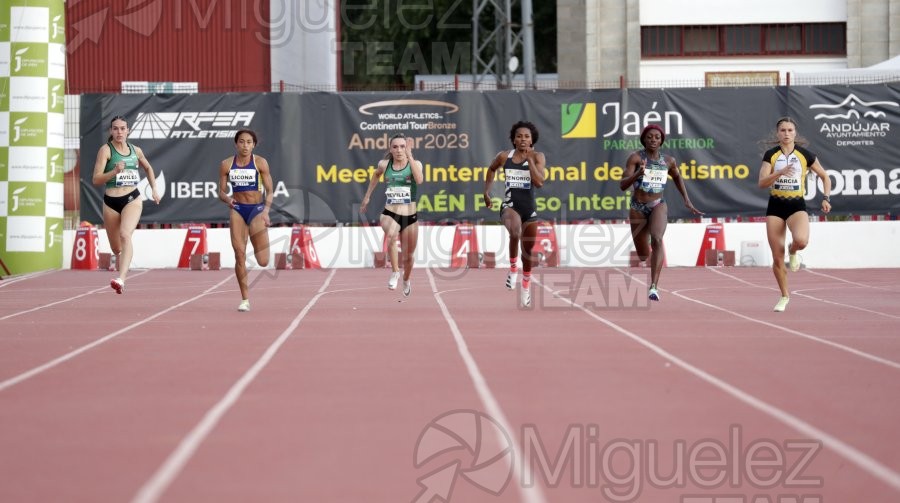 Meeting Internacional de Atletismo Jaen Paraiso Interior (Andujar) 2023.