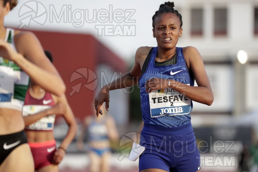 Meeting Internacional de Atletismo Jaen Paraiso Interior (Andujar) 2023.