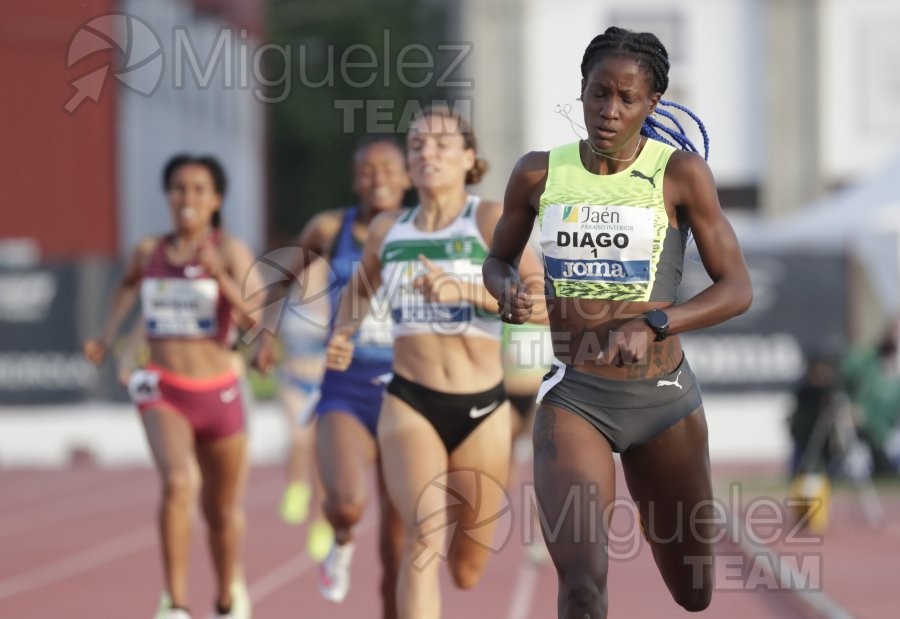 Meeting Internacional de Atletismo Jaen Paraiso Interior (Andujar) 2023.