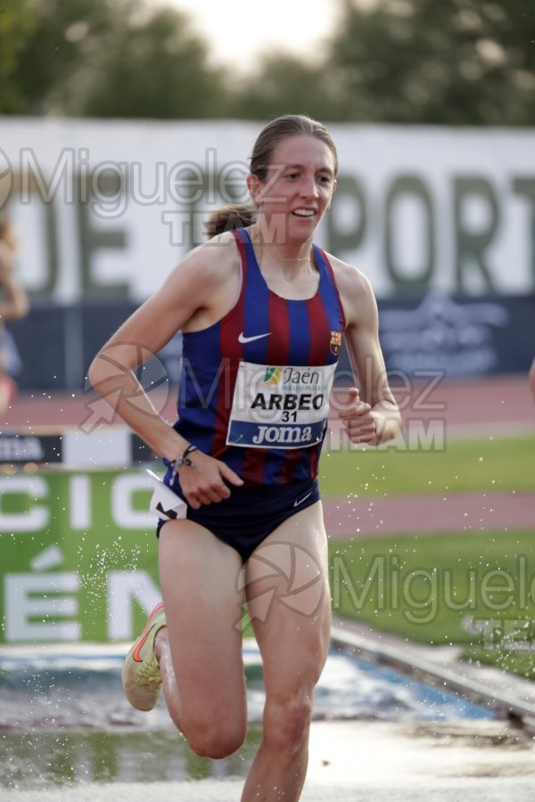 Meeting Internacional de Atletismo Jaen Paraiso Interior (Andujar) 2023.