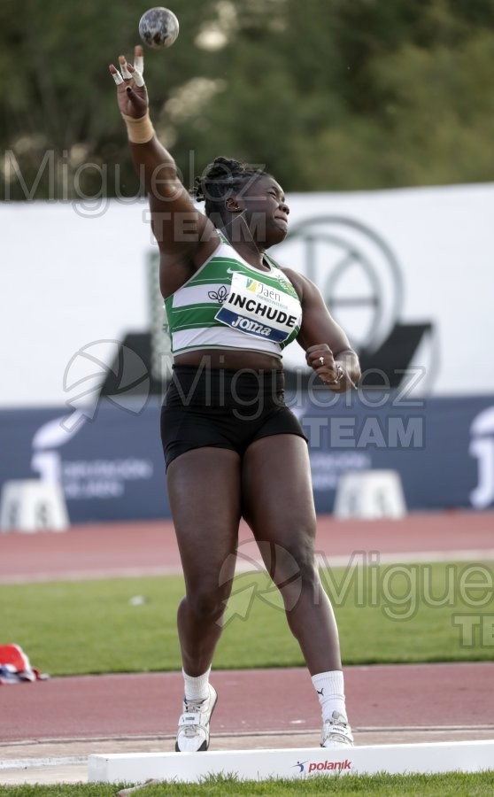 Meeting Internacional de Atletismo Jaen Paraiso Interior (Andujar) 2023.