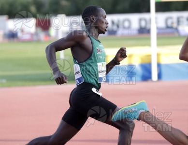 Meeting Internacional de Atletismo Jaen Paraiso Interior (Andujar) 2023.