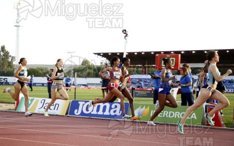 Meeting Internacional de Atletismo Jaen Paraiso Interior (Andujar) 2023.