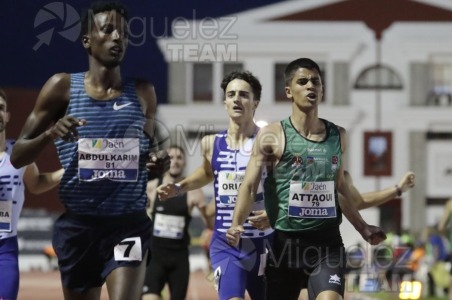 Meeting Internacional de Atletismo Jaen Paraiso Interior (Andujar) 2023.