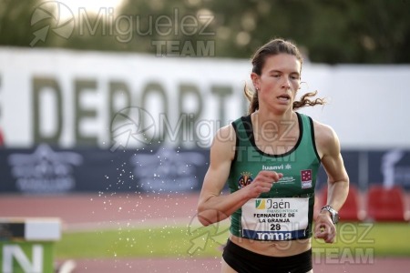 Meeting Internacional de Atletismo Jaen Paraiso Interior (Andujar) 2023.