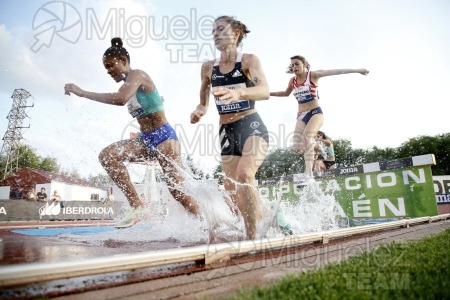 Meeting Internacional de Atletismo Jaen Paraiso Interior (Andujar) 2023.