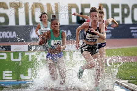 Meeting Internacional de Atletismo Jaen Paraiso Interior (Andujar) 2023.