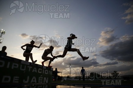 Meeting Internacional de Atletismo Jaen Paraiso Interior (Andujar) 2023.