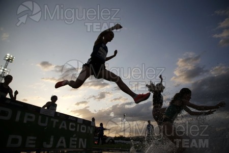 Meeting Internacional de Atletismo Jaen Paraiso Interior (Andujar) 2023.