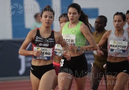 Meeting Internacional de Atletismo Jaen Paraiso Interior (Andujar) 2023.