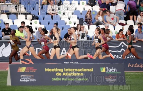 Meeting Internacional de Atletismo Jaen Paraiso Interior (Andujar) 2023.