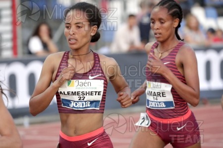 Meeting Internacional de Atletismo Jaen Paraiso Interior (Andujar) 2023.