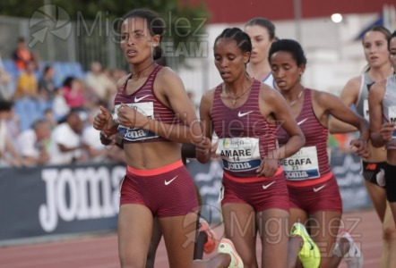 Meeting Internacional de Atletismo Jaen Paraiso Interior (Andujar) 2023.