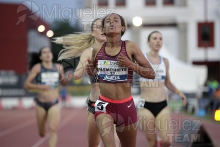 Meeting Internacional de Atletismo Jaen Paraiso Interior (Andujar) 2023.