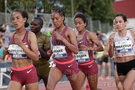 Meeting Internacional de Atletismo Jaen Paraiso Interior (Andujar) 2023.