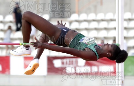 Liga Iberdrola de Clubes Division de Honor Mujeres Final (Madrid) 2023.