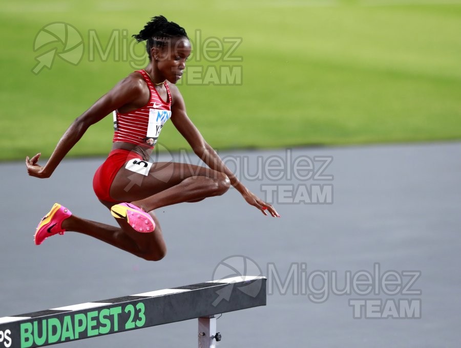 Campeonato del Mundo de atletismo al aire libre (Budapest) 2023.