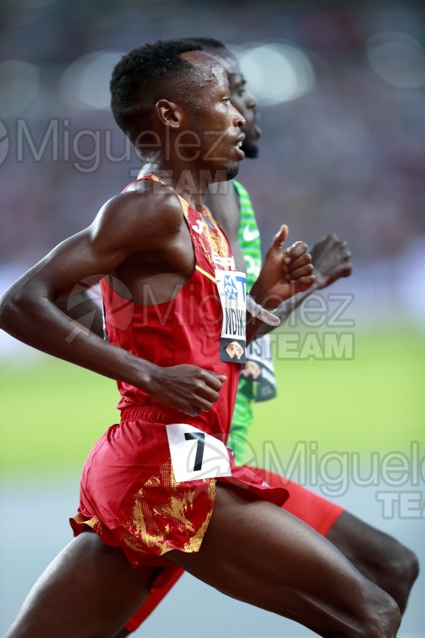 Campeonato del Mundo de atletismo al aire libre (Budapest) 2023.