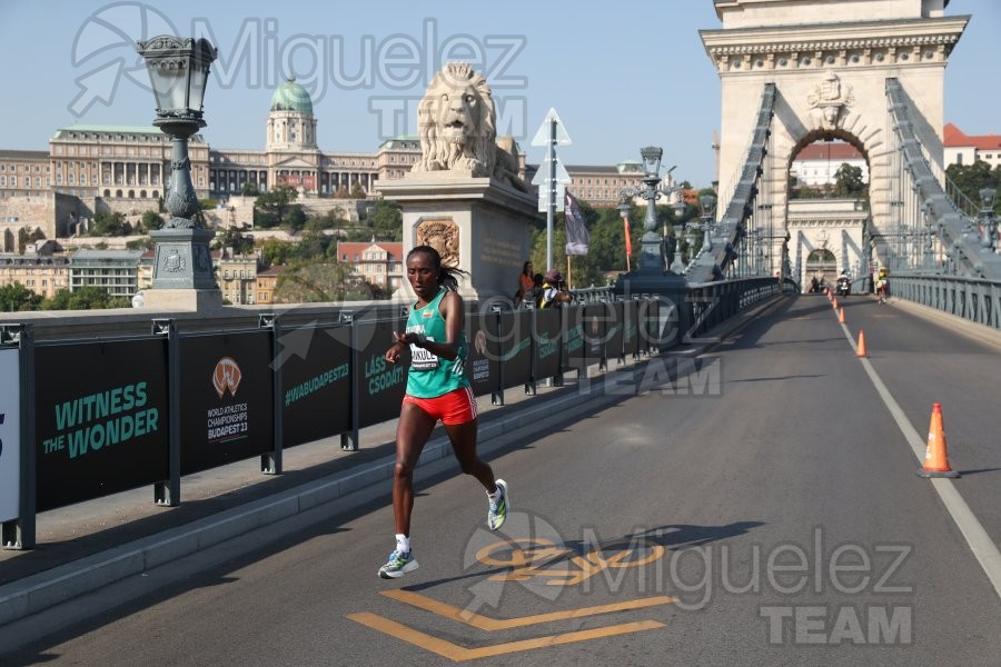 Campeonato del Mundo de atletismo al aire libre (Budapest) 2023.