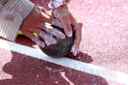 Campeonato de España absoluto al Aire Libre (Torrent) 2023.