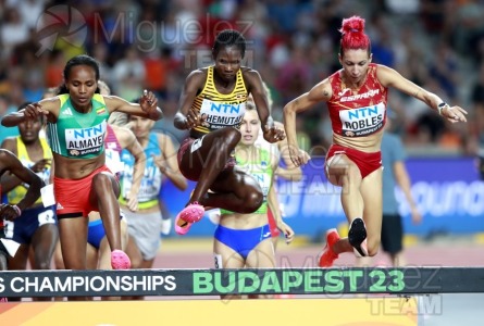 Campeonato del Mundo de atletismo al aire libre (Budapest) 2023.