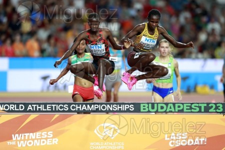 Campeonato del Mundo de atletismo al aire libre (Budapest) 2023.