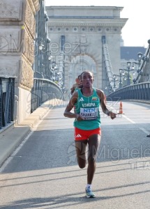 Campeonato del Mundo de atletismo al aire libre (Budapest) 2023.