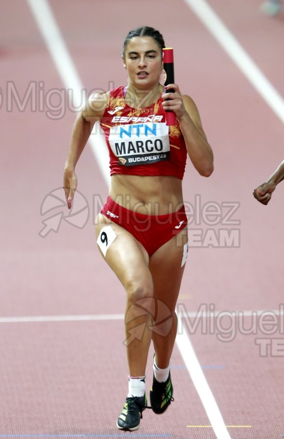 ATLETISMO: Campeonato del Mundo absoluto al aire libre, estadio National Athletics Centre (Budapest) 19-08-2023 al 27-08-2023. 